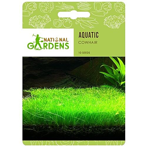 Buy National Gardens Cowhair Aquatic Plant Seeds Online at Best Price ...