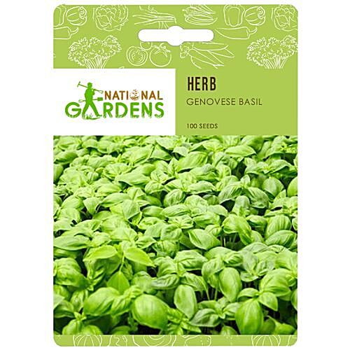 National Gardens Genovese Basil Herb Seeds 100 Seeds