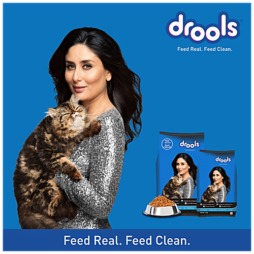 drools 3kg cat food