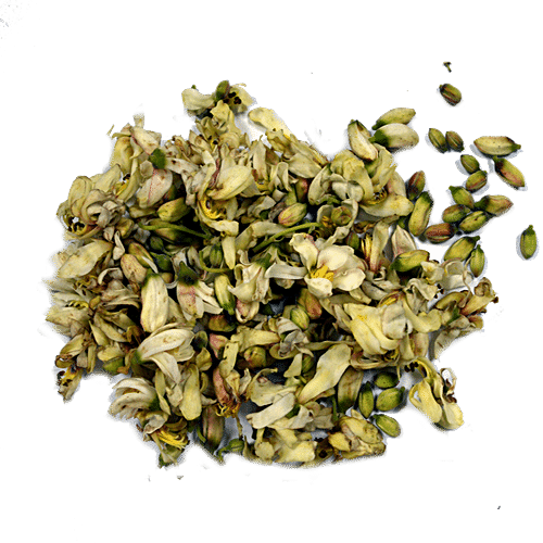 Buy fresho! Moringa - Drumstick Flower Online at Best Price of Rs null ...