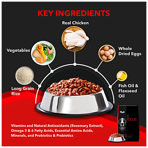 focus dog food starter