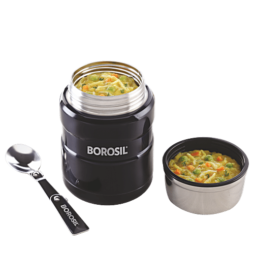 Buy Borosil Carry Fresh Stainless Steel Lunch Box/Tiffin Box Set Insulated  - Grey Online at Best Price of Rs 869 - bigbasket