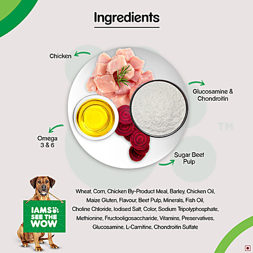 What Is Choline Chloride Used For In Dog Food