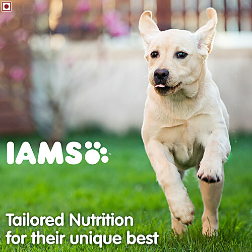 iams proactive health dog food smart puppy