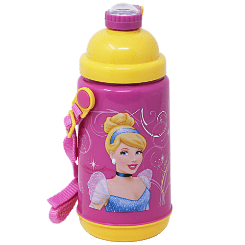 Buy Hm International Disney Cinderella Princess Face Art Insulated ...