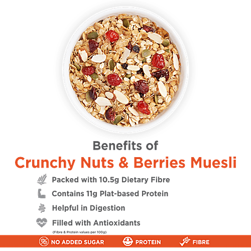 Buy True Elements Crunchy Nuts & Berries Muesli - Almonds & Cranberries ...