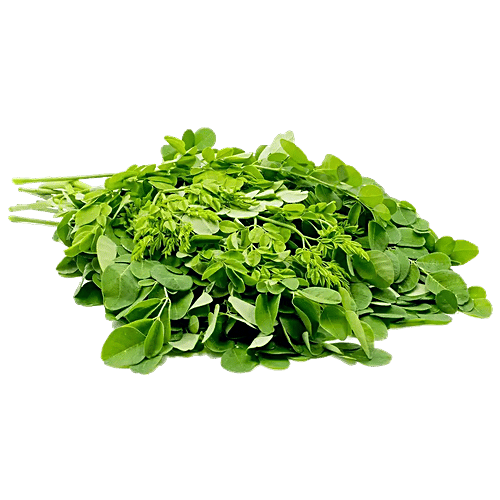 Buy fresho! Drumstick Leaves Online at Best Price of Rs 16 - bigbasket