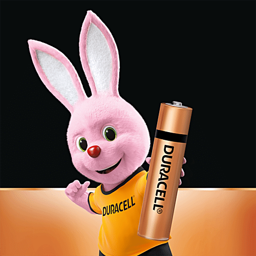 Buy Duracell Alkaline AAA Batteries - 2X Long Lasting Online at Best ...