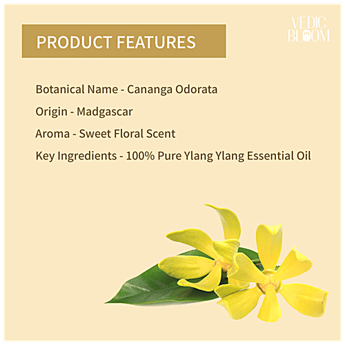 Buy Vedic Bloom Ylang Ylang Essential Oil - 100% Pure & Natural, For ...