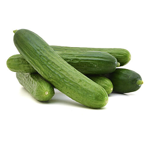 https://www.bigbasket.com/media/uploads/p/l/40228981_1-fresho-european-cucumber-seedless-hydroponically-grown.jpg