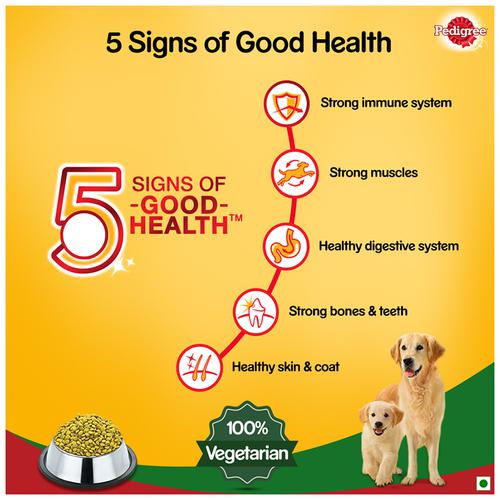 what are the signs of a healthy dog