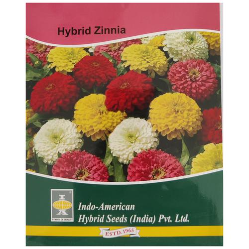 Buy Indo American Hybrid Seeds (India) Pvt. Ltd. Zinnia Zahara Double ...