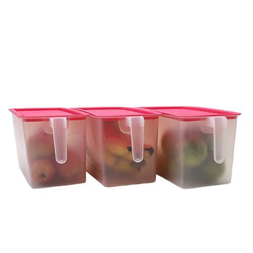 https://www.bigbasket.com/media/uploads/p/l/40245597-4_1-floraware-airtight-kitchen-fridge-organizer-storage-box-with-lid-handle-durable.jpg