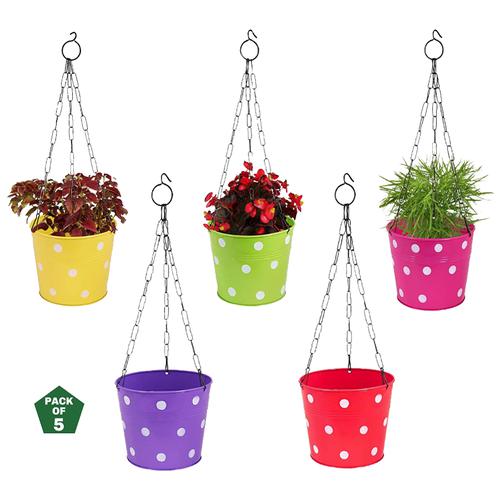 Buy Leafy Tales Heavy Duty S Shaped Hanging Hook - For Pot Extension, 25  cm, Large Online at Best Price of Rs 44 - bigbasket