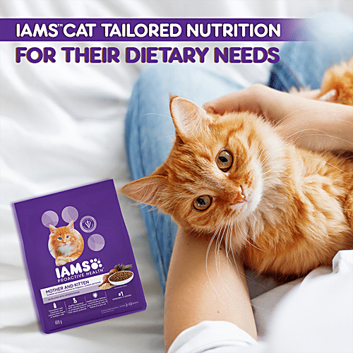 Buy IAMS Proactive Health Mother & Kitten, Dry Premium Cat Food With