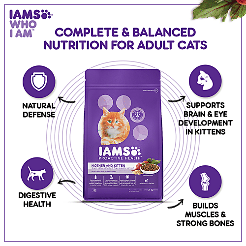 Buy IAMS Proactive Health - Mother & Kitten, Dry Premium Cat Food With ...