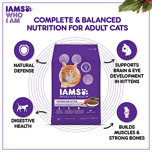 Buy IAMS Proactive Health - Mother & Kitten, Dry Premium Cat Food With ...