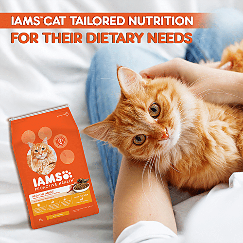 Buy IAMS Proactive Health Healthy Adult Dry Premium Cat Food