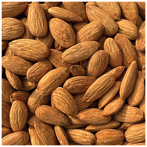 Buy Sindhi Australian Almonds/Badam - For Healthy Brain Function ...