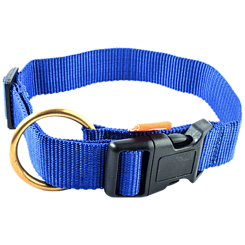 21 inch shop dog collar