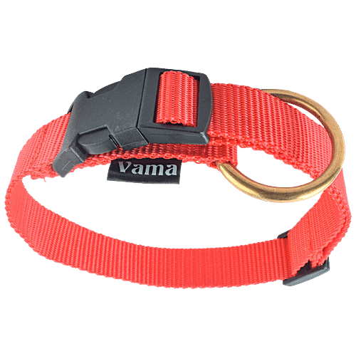 21 inch clearance dog collar