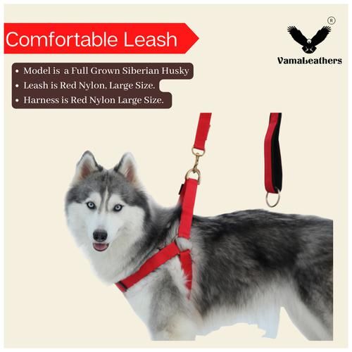 Buy Vama Leathers Cotton Leash - Long & Short Handle, For Giant & Extra  Large Dogs, Racing Red Online at Best Price of Rs 390 - bigbasket