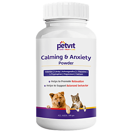 Best anxiety hotsell medicine for dogs