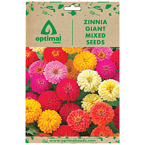 Buy Optimal Seeds Zinnia Giant Mixed Flower Seeds Online at Best Price of Rs 179 bigbasket