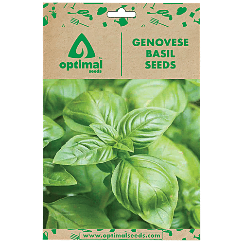 Buy Optimal Seeds Genovese Basil Herb Seeds Online at Best Price