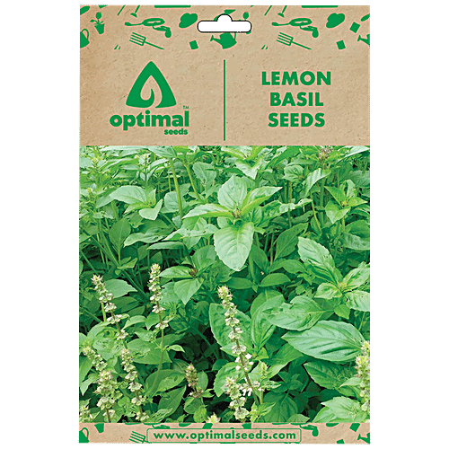 Optimal Seeds Lemon Basil Herb Seeds 50 pcs