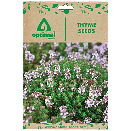 Buy Optimal Seeds Thyme Herb Seeds Online at Best Price of Rs 250