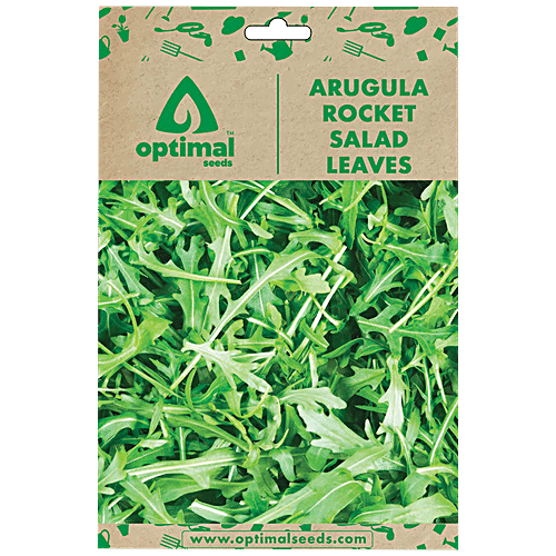 Rocket Rucola Coltivata Seeds by Hortus – GREEN MART