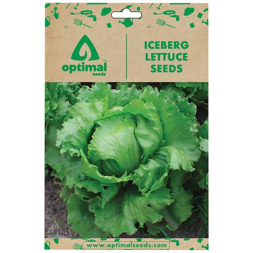 Buy Optimal Seeds Iceberg Lettuce Seeds Online At Best Price Of Rs 149 Bigbasket