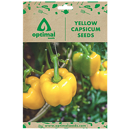 https://www.bigbasket.com/media/uploads/p/l/40288276_1-optimal-seeds-yellow-capsicum-vegetable-seeds.jpg