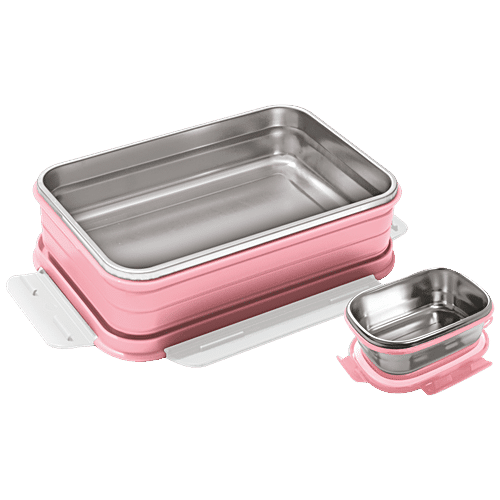 https://www.bigbasket.com/media/uploads/p/l/40288940-3_1-flair-trendy-dx-lunch-box-insulated-stainless-steel-large-pink.jpg