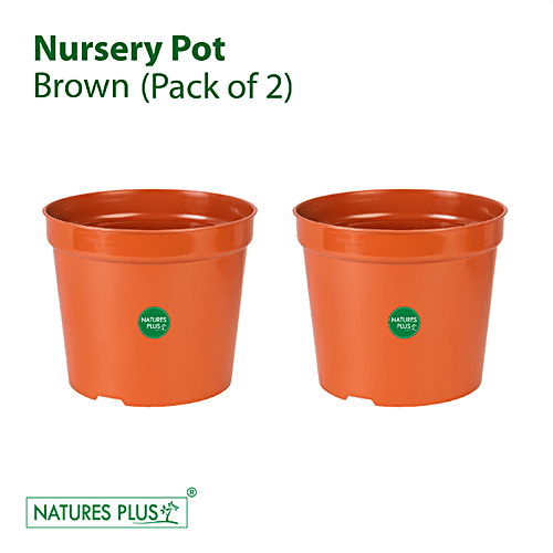 Buy NATURES PLUS Nursery Pot 18 cm, Brown, Durable, Longlasting Online at Best Price of Rs 75