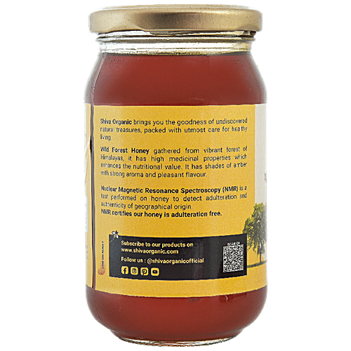 Buy SHIVA ORGANIC Wild Forest Honey - 100% Natural, Healthy, No Added ...