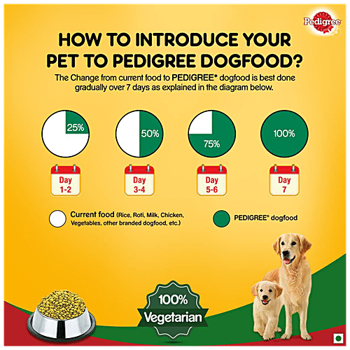 Buy Pedigree Dry Dog Food - 100% Vegetarian, For Puppy & Adult Dogs