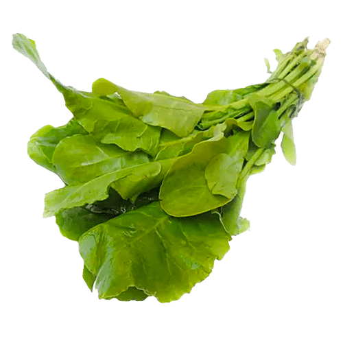 White Stuff – leafy green