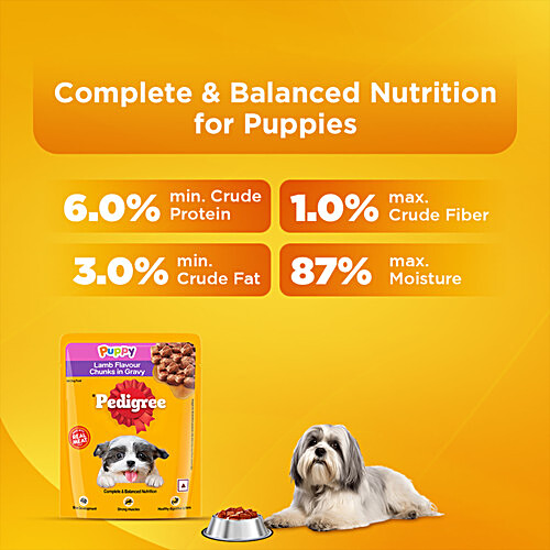 Buy Pedigree Puppy Wet Dog Food - Lamb Flavour Chunks In Gravy Online