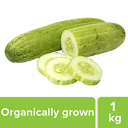 Buy Fresho Cucumber Organically Grown 1 Kg Online at the Best Price of