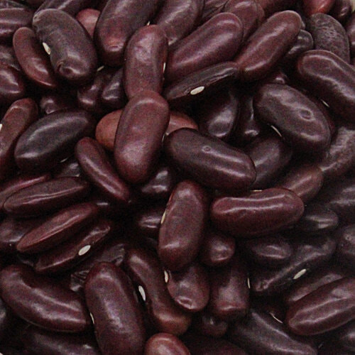 JSN Rajma/Capparadavare - Red, 500 g Pouch