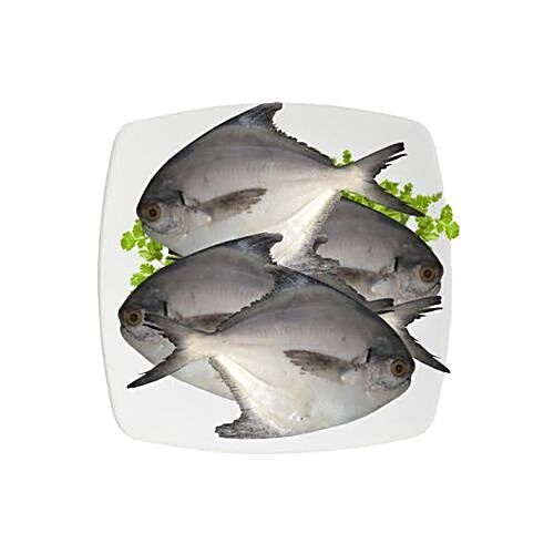 pomfret fish big basket