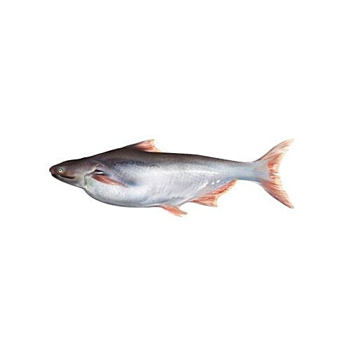 Buy Eagle Fisheries Fish Basa Whole 1 Kg Pack Of 1 Online at the Best ...