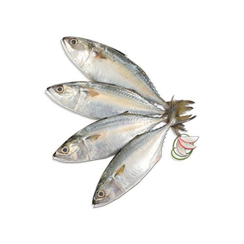 https://www.bigbasket.com/media/uploads/p/l/800010548_2-pesca-fresh-fish-indian-mackerel-bangda.jpg