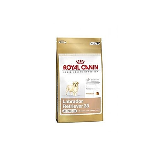 Buy Royal Canin Pet Food - Labrador Junior Online at Best Price of Rs ...