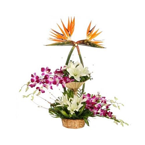 Buy Blooms Bouquets Flower Bouquet 073 Arrangement Of Boporchidsasiatic ...