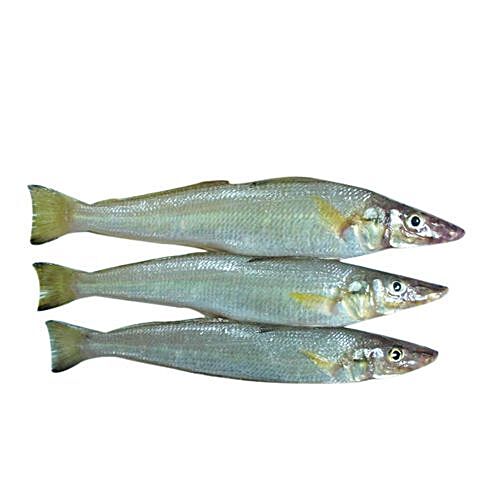 Buy Rk Seafood Fish Kaane Lady Fish 500 Gm Whole Online At Best