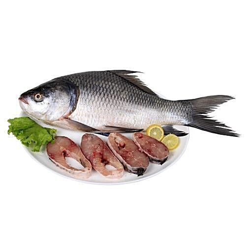 live rohu fish for sale