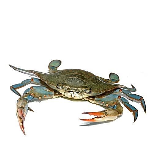 Buy Fish Land Crab - Blue / Nandu / Khekada / Edi 500 gm Online at Best ...